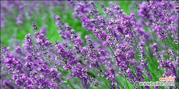 感动岁月 忘记我