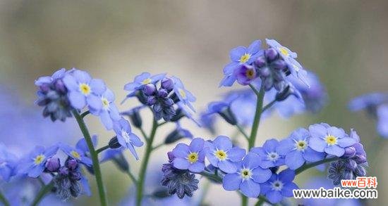 感动岁月 忘记我