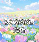 阳光、快乐、希望——向日葵的愉悦寓意 快乐之花——向日葵的花语