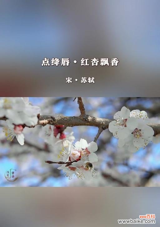 红杏生肖的象征意义及文化传承 以红杏代表什么生肖？