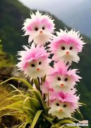 以玫瑰代表孤独，诉说内心的孤独寂寞 孤独之花——寂寞在花海中绽放