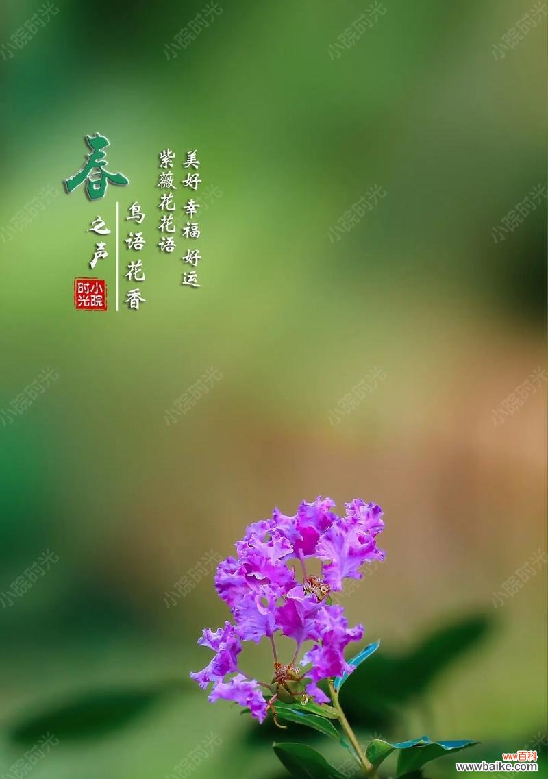 以向日葵为主题的花语 花开幸福