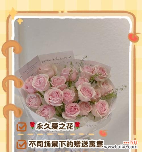 探索粉玫瑰花所传达的深情意义 粉玫瑰的花语——爱与温柔