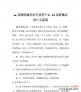 传递爱意的12朵玫瑰花花语解读 12朵玫瑰花花语的意义