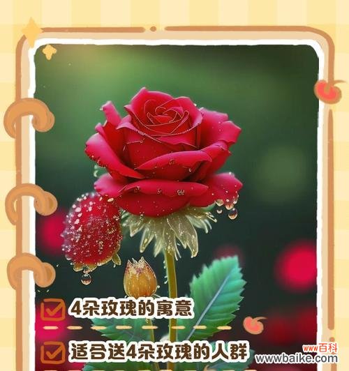 浪漫的爱情宣言 49朵玫瑰花的花语之意义深远