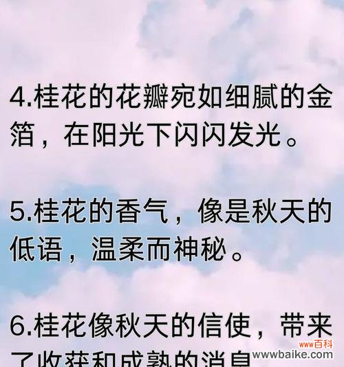 馥郁芬芳的桂花散发着美好祝福 桂花的花语