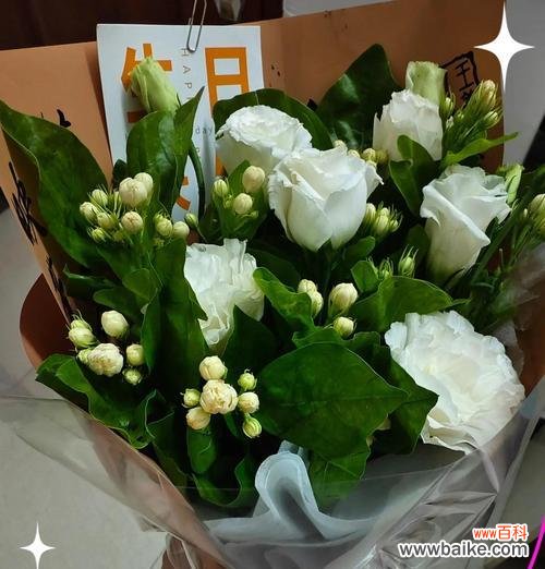 以玫瑰花的花语是你是我的唯一