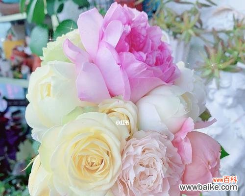 绽放鲜花的艺术之美 以鲜切花为主题的美丽盛宴