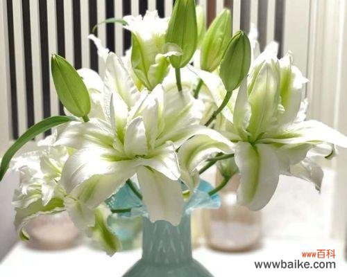 绽放鲜花的艺术之美 以鲜切花为主题的美丽盛宴