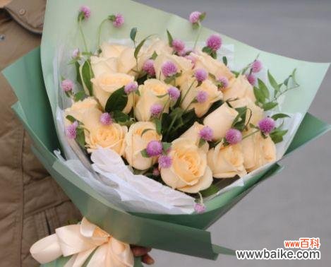 探寻香槟玫瑰的神秘与浪漫 香槟玫瑰的意义与象征