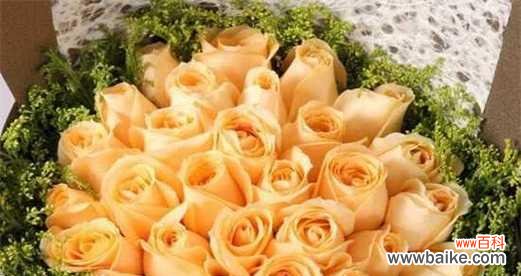 探索香槟玫瑰的浪漫和优雅 香槟玫瑰的花语与象征意义