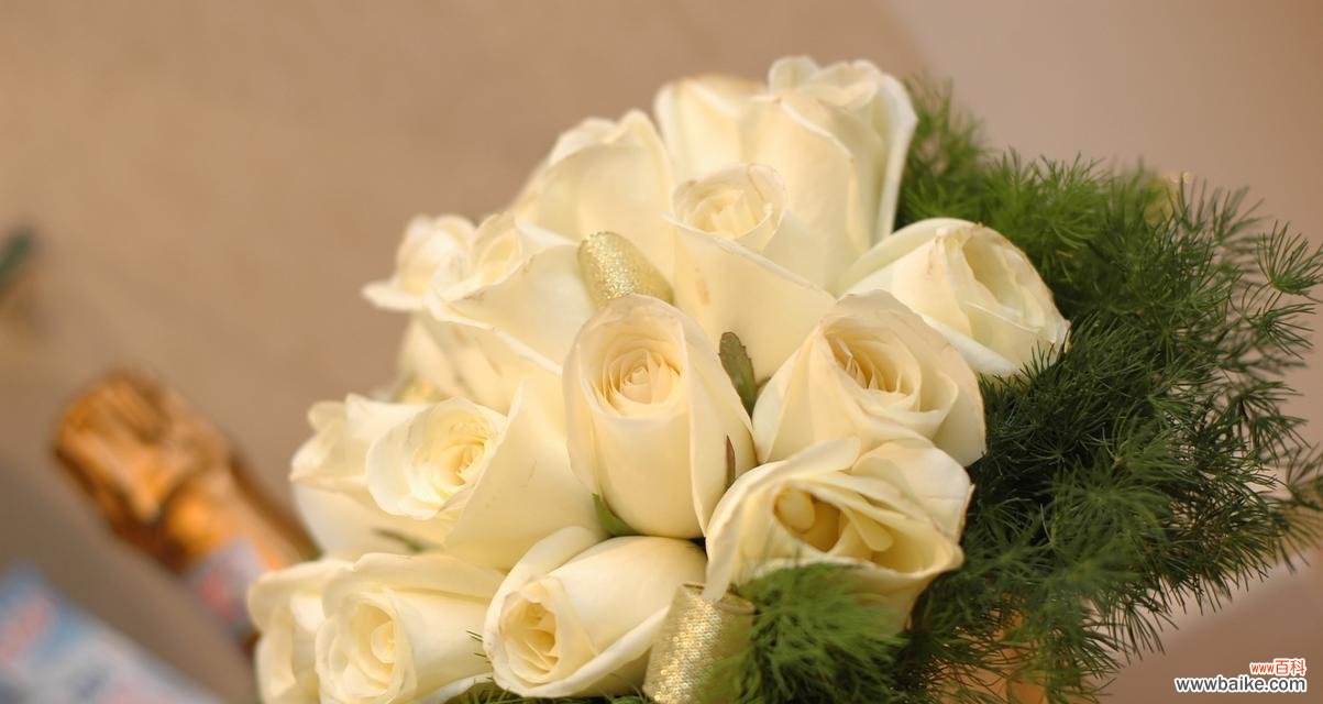 探索香槟玫瑰的浪漫和优雅 香槟玫瑰的花语与象征意义