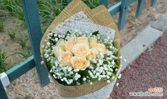 探索香槟玫瑰的魅力 浪漫花语