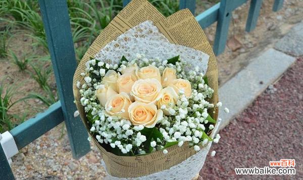 探索香槟玫瑰的魅力 浪漫花语