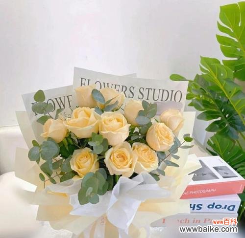 绽放温馨爱意的花朵 香槟玫瑰的含义与象征