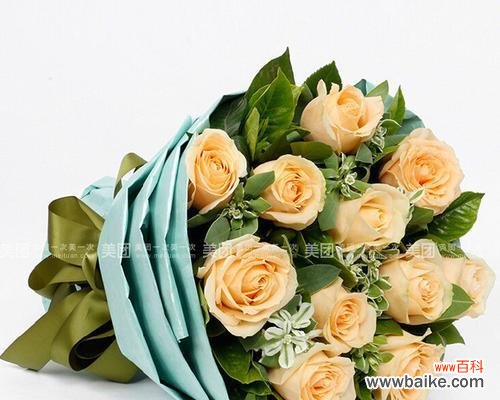 绽放温馨爱意的花朵 香槟玫瑰的含义与象征