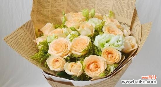 探究香槟玫瑰的神秘含义 香槟玫瑰花语代表什么