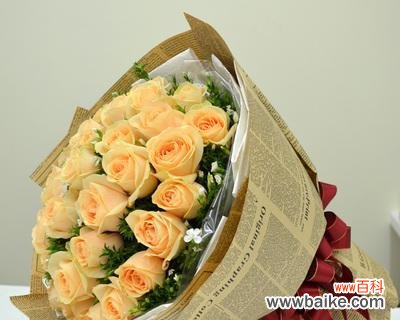 探究香槟玫瑰花在不同文化中的象征 香槟玫瑰花的象征意义