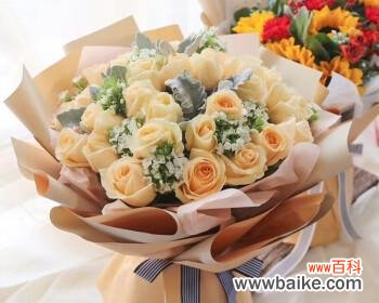 探究香槟玫瑰花在不同文化中的象征 香槟玫瑰花的象征意义