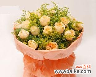 探索香槟玫瑰花的内涵与象征 香槟玫瑰花的寓意与象征意义