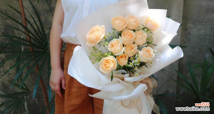 探索香槟玫瑰花的内涵与象征 香槟玫瑰花的寓意与象征意义