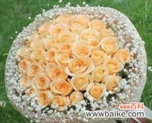 探寻香槟玫瑰背后的花语与美学 香槟玫瑰的象征意义与文化传承