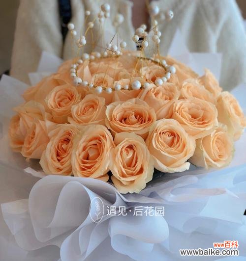 探寻香槟玫瑰背后的花语与美学 香槟玫瑰的象征意义与文化传承