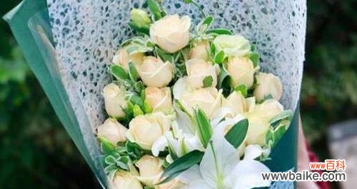 探索香槟玫瑰的寓意与象征 香槟玫瑰