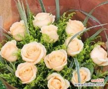 探索香槟玫瑰的寓意与象征——从爱情到庆祝 香槟玫瑰