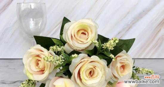 探索香槟色玫瑰传达的情感和象征 香槟色玫瑰的花语与意义