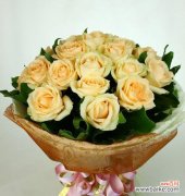 了解香槟色玫瑰花的特殊寓意 香槟色玫瑰花的意义及象征