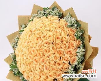 探秘香槟色玫瑰花的花语和文化内涵 香槟色玫瑰花