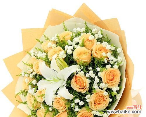 探秘香槟色玫瑰花的花语和文化内涵 香槟色玫瑰花