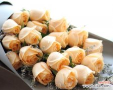 传递温馨与浪漫的香槟色玫瑰花语 香槟色玫瑰的花语与寓意