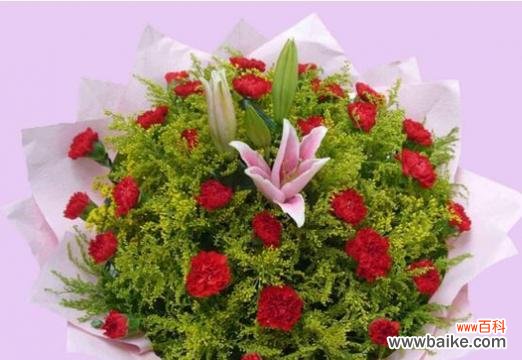 以康乃馨为主题的亲情花语 亲情如花，长久不谢