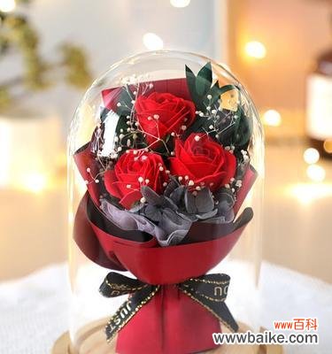 探寻老师花的象征意义 老师如花