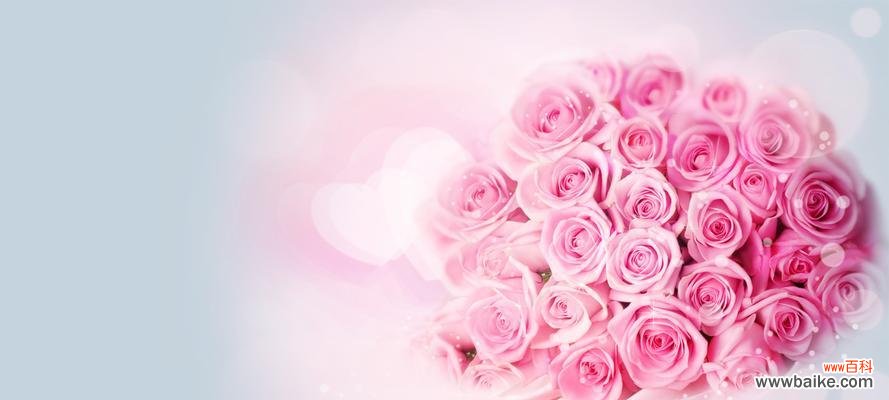 以何种花的花语表达生日祝福 生日快乐,鲜花送祝福