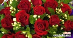 表达我爱你的花语——红玫瑰 以红玫瑰花的花语为主题的文章