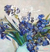 花白色满天星的神秘与纯洁 花白色满天星的美丽与寓意