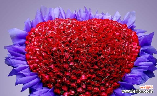 解读16朵玫瑰的含义与象征 玫瑰的花语与意义