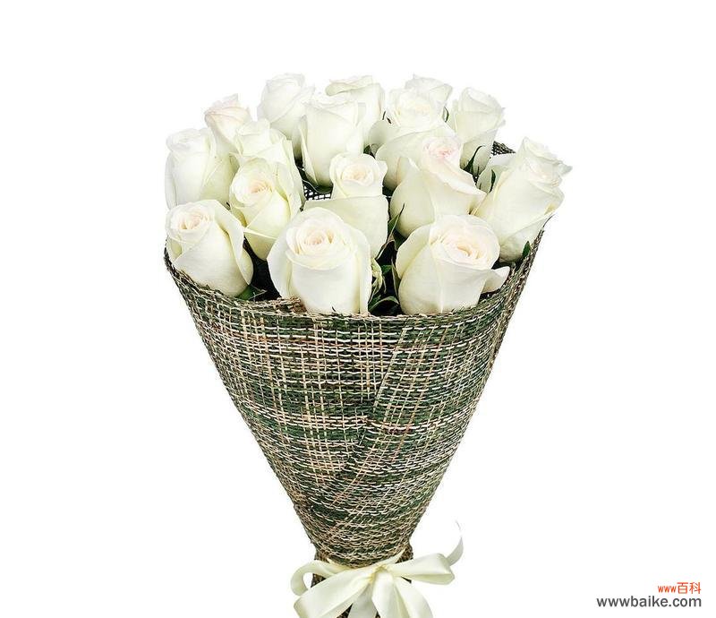 纯洁 一束白玫瑰的象征意义