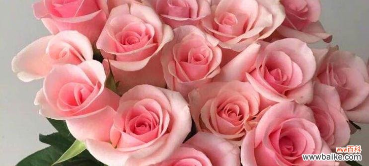 以24朵玫瑰传递的浪漫讯息 24朵玫瑰花语解读