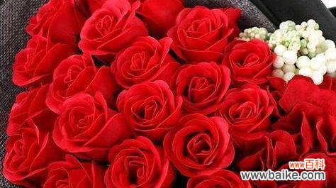 用21朵玫瑰传达爱意的艺术 21朵玫瑰的花语与象征意义