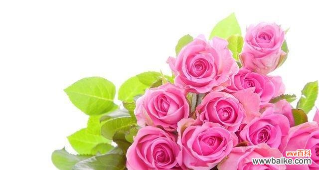 探寻39朵玫瑰花所传递的爱情 39朵玫瑰花花语的浪漫寓意