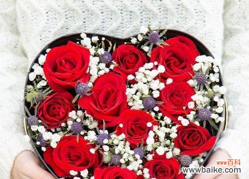 用花语解读61朵玫瑰花的神秘讯息 61朵玫瑰花花语的深层含义