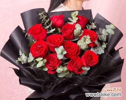 玫瑰花的深情告白和祝福 浪漫之花