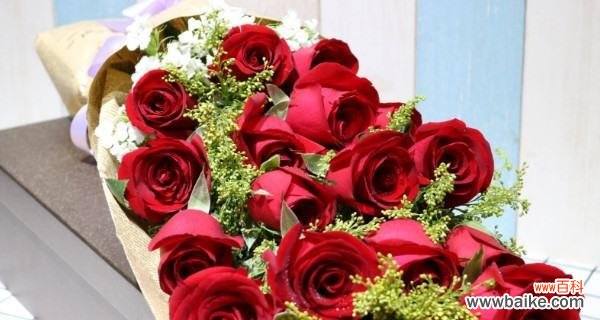 玫瑰花的深情告白和祝福 浪漫之花