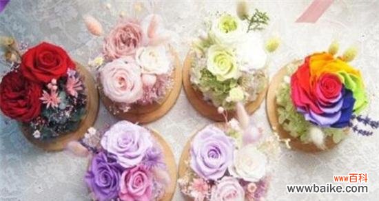 永生花语 永生花