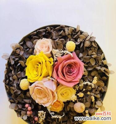 了解永生花的意义 永生花的花语与寓意