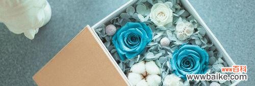 了解永生花的意义 永生花的花语与寓意